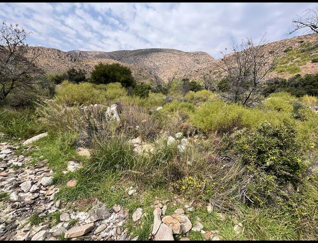 1,175HA FARM FOR SALE IN PRINCE ALBERT RURAL